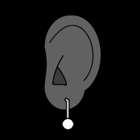 earring